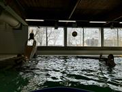 2026-03-08 - G-sport zwembad