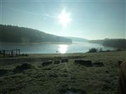 2025-12-26 - Les Lacs de l'Eau d'Heure - benedenmeer