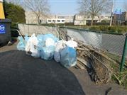 2022-03-26 - Paddle Cleanup