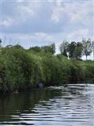2026-05-08 - Begeleiding op 'De Mandel'